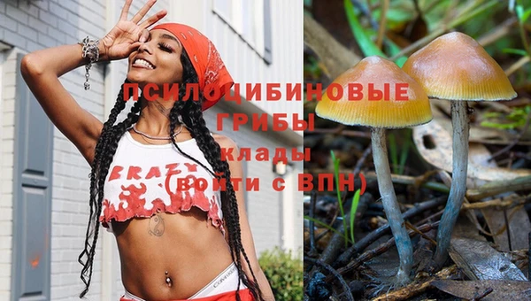 герыч Майский