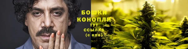 крисы Лагань