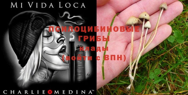 бошки Магадан