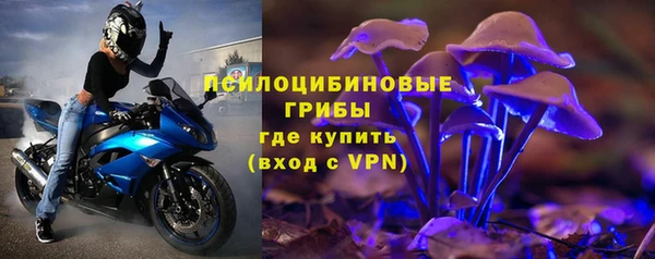 герыч Майский