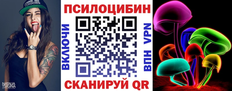 Купить где  Апатиты  Галлюциногенные грибы Psilocybine cubensis 
